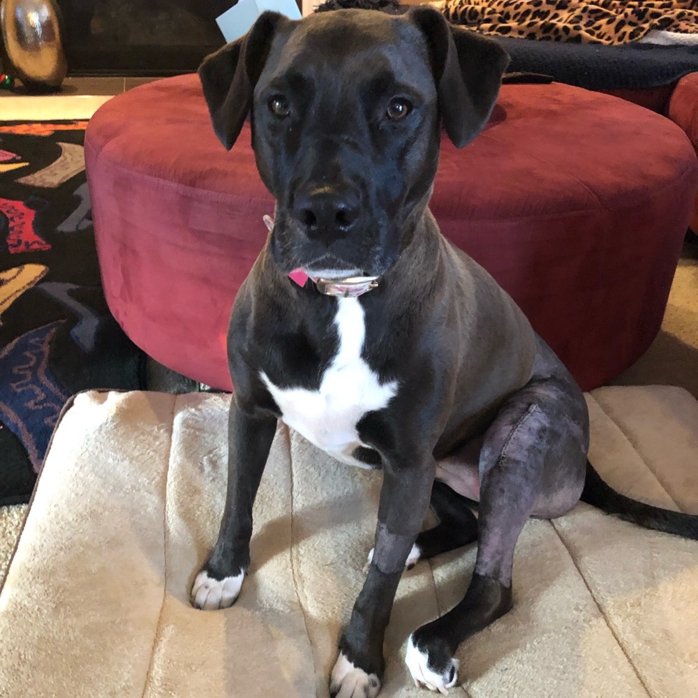 Please Share Closet 🙏 Posher needs help ❤️ - Picture 8 of 11